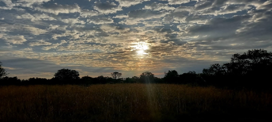 Commercial Property for Sale in Orkney Rural North West